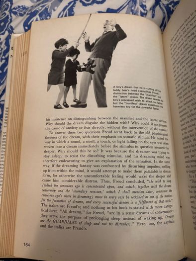Rare Vintage Dreams and Dreaming Book