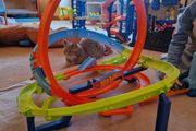 Hot Wheels Roller Coaster