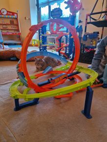 Hot Wheels Roller Coaster