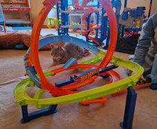 Hot Wheels Roller Coaster