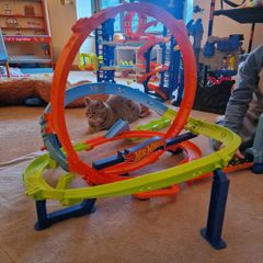 Hot Wheels Roller Coaster