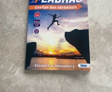 Feabhas Gaeilge don idirbhliain