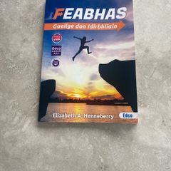 Feabhas Gaeilge don idirbhliain
