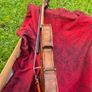 Violin Image 2