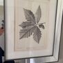 Two mirrored limited edition picture prints stunning Image 3