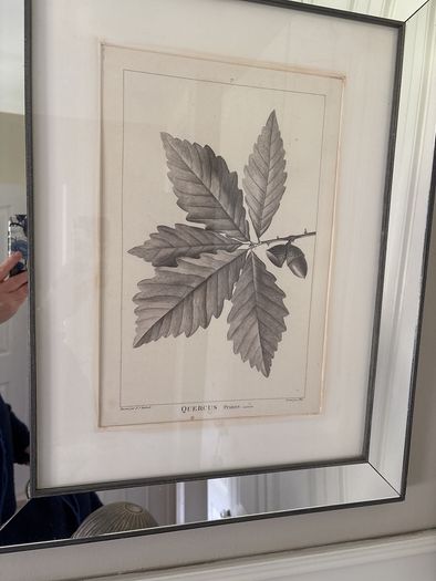 Two mirrored limited edition picture prints stunning