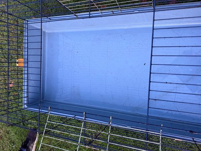 Guineapig or Rabbit cage