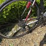 Trek One Series 1.2 Road Bike Image 3