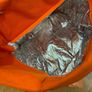 Justeat delivery bag large size never used Image 6
