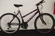 ladies 26inch