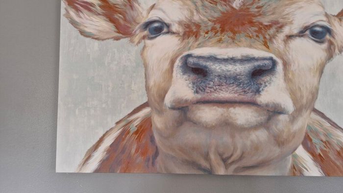 Cow Canvas Picture