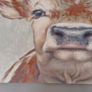 Cow Canvas Picture Image 3