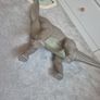 Large Dinosaur Image 4