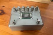 Blackstar HT Dual
