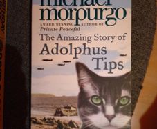 "the amazing story of Adolphus Tips" by Michael Morpurgo