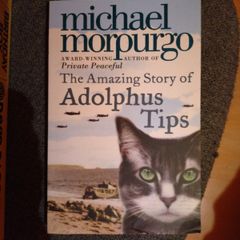 "the amazing story of Adolphus Tips" by Michael Morpurgo
