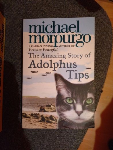 "the amazing story of Adolphus Tips" by Michael Morpurgo