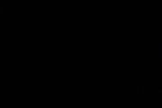 window and shower door