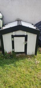 Dog kennel