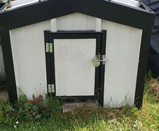 Dog kennel