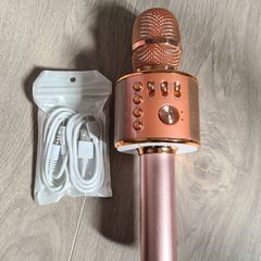 Karaoke Wireless Microphone