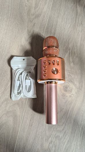 Karaoke Wireless Microphone