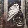 Phantoms of the Isles: further tales from the Haunted Realm - Simon Marsden Image 5