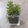 Artificial plants x 3 Image 3