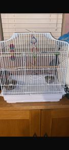 Bird cage