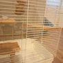 Animal cage Image 6