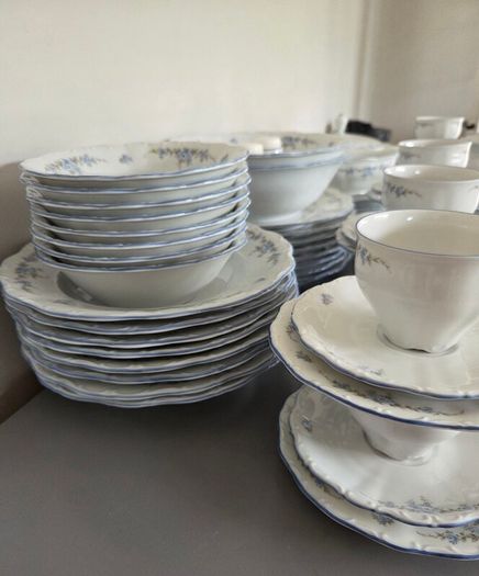 61 Piece Dinner Set Bavaria Rose