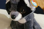 Aurora Dreamy Eyes Rascal Racoon Brand New Teddy Soft Toy Plush