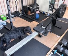 Rower