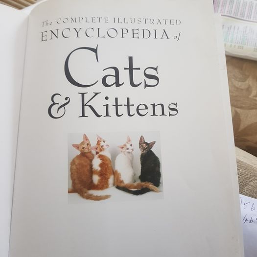 The Complete Illustrated Encyclopedia Of Catsc & Kittens