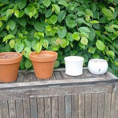 garden pot