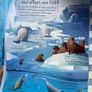Usborne - Lift the flaps - See Inside Oceans - Brand new Image 2
