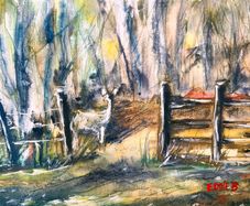 Wicklow deer watercolour