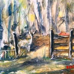 Wicklow deer watercolour