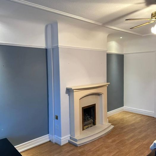 Professional Painting & Handyman Service - Dublin
