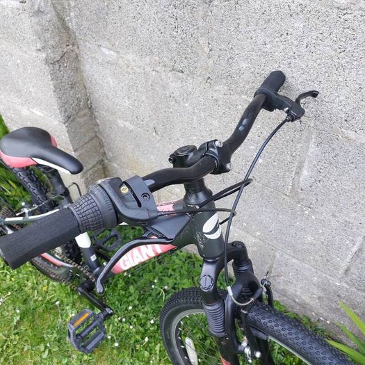 Giant XTC JR 24" wheel kids bike - kids aged 7-12 years old - Mountain bike - Fully serviced