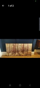 Canvas Picture