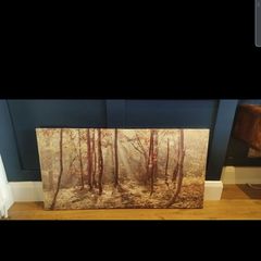 Canvas Picture