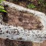 Beautiful 18th Century Georgian Antique Stone Trough Image 6