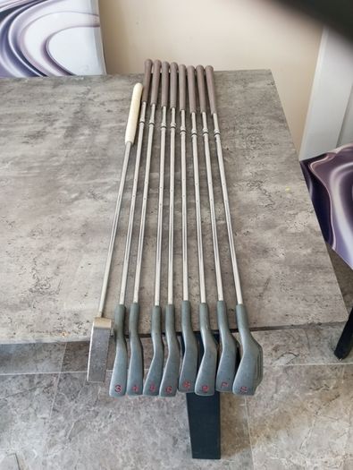Women's L flex golf irons and putter.