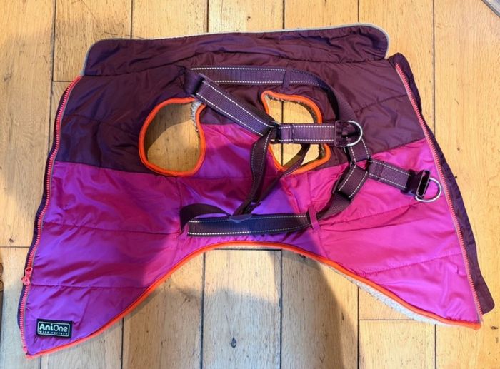 dog coat