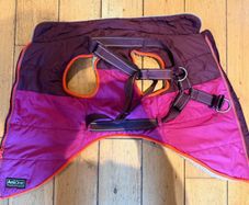 dog coat