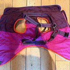 dog coat