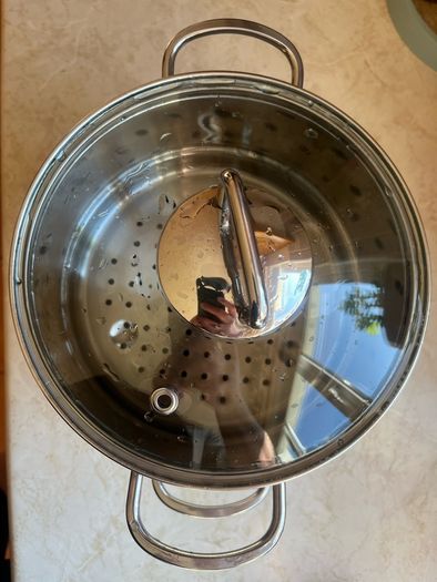 Steamer Cookware Set with Glass Lid Handles Stainless Steel Pan Kitchen Home Cook Chef Healthy Veg Cooking Housewarming induction ceramic gas electric
