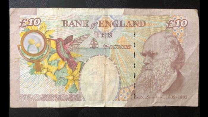 10 pound banknotes from England