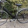 Ladies Bicycle Image 9